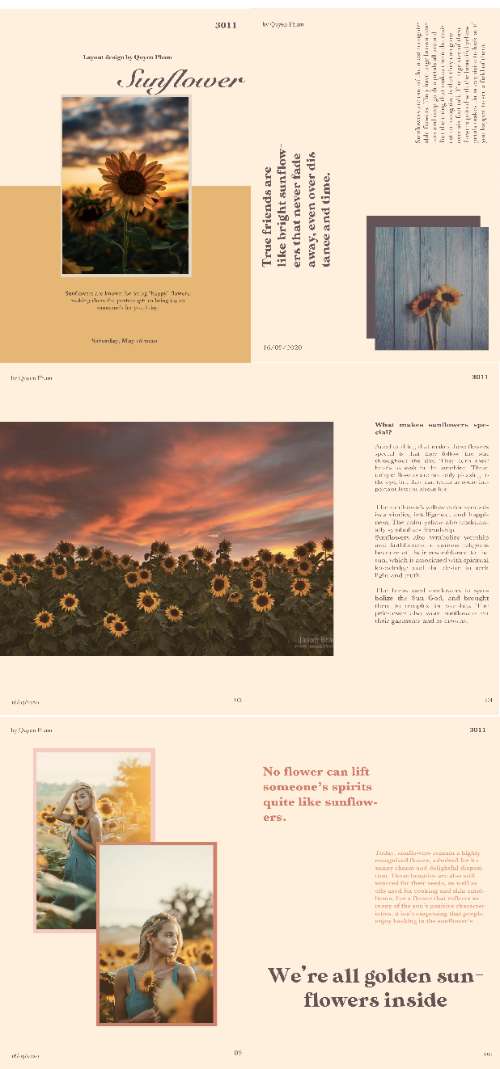 Layout