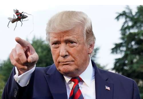 President Trump