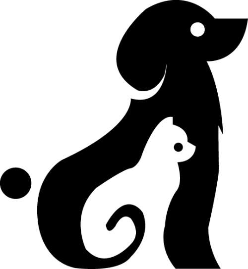 Sử dụng pentool