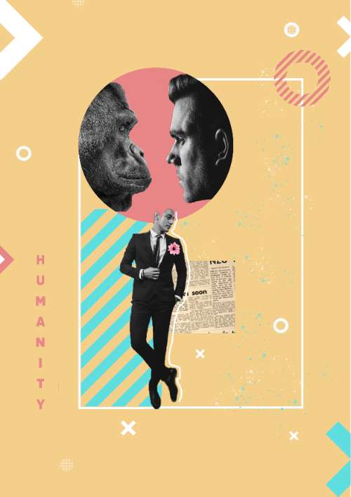 Phối màu cơ bản và Collage  Art