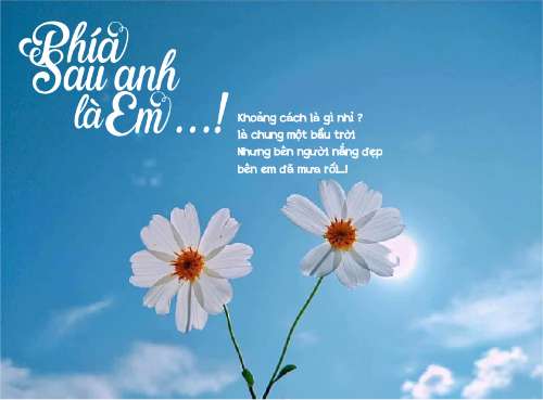 Flower and Sky