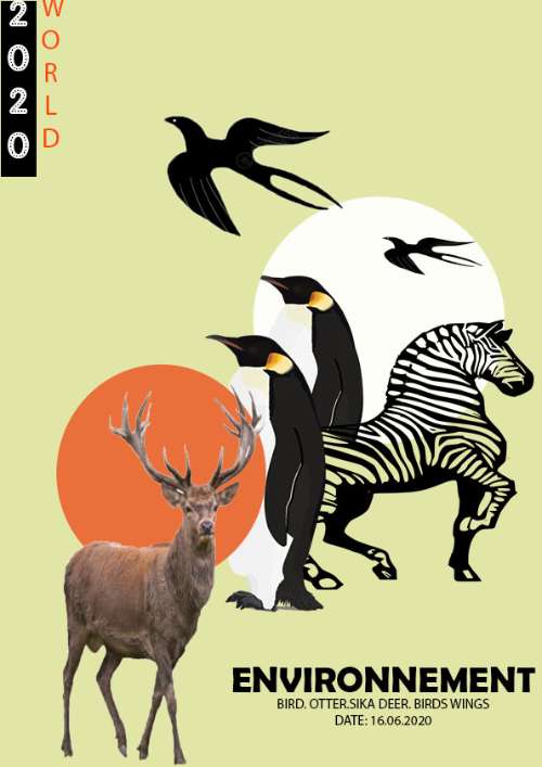 collage  Art