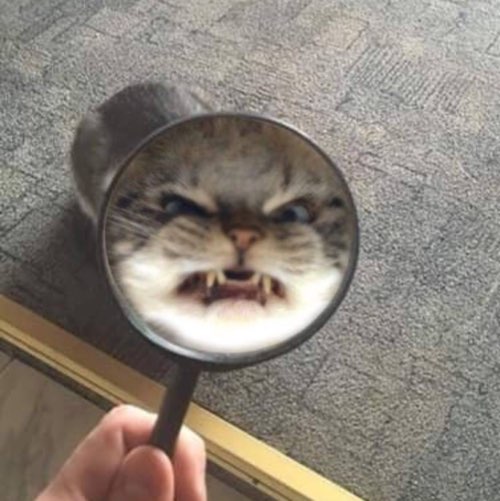 Bai 4