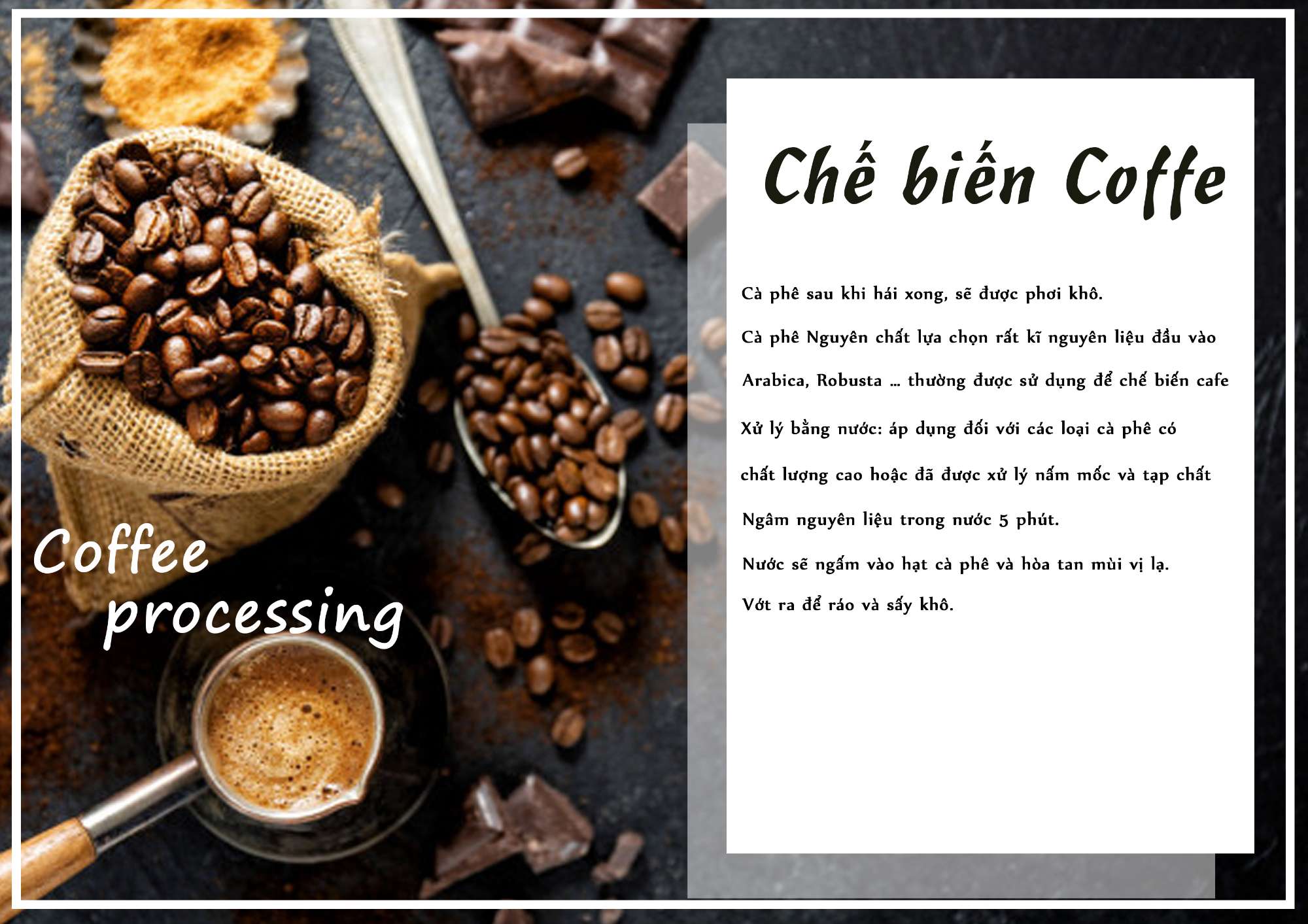 Coffe -  