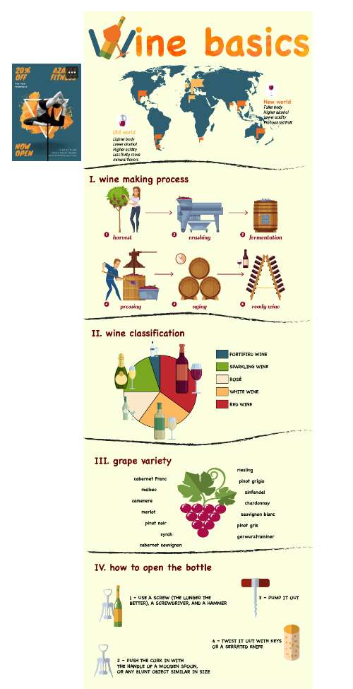 wine basics InfoGraphic - BTCK 