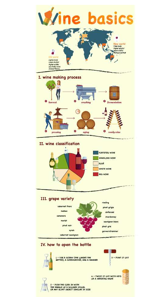 wine basics InfoGraphic - btck 