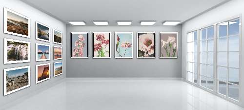 Nature's Gallery