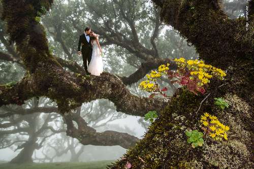 tinywedding