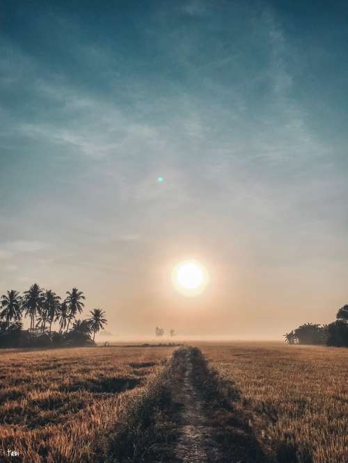IpX - Lightroom (mobile)