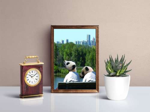 Pandamans (Animals as humans)