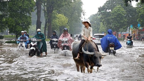 Bài tập cắt ghép hình tự do