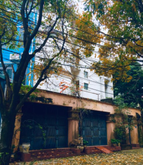 Ảnh chụp điện thoại