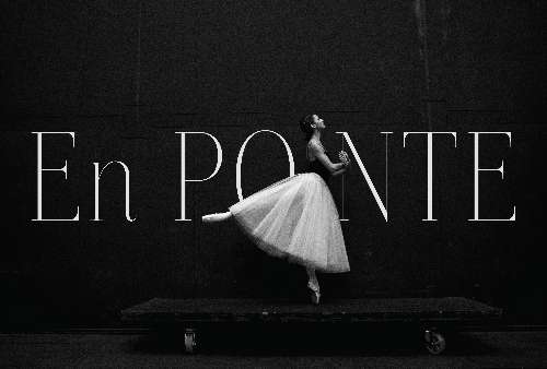 Typography đơn giản