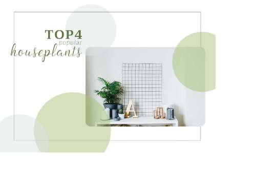 Bài tập giữa khóa