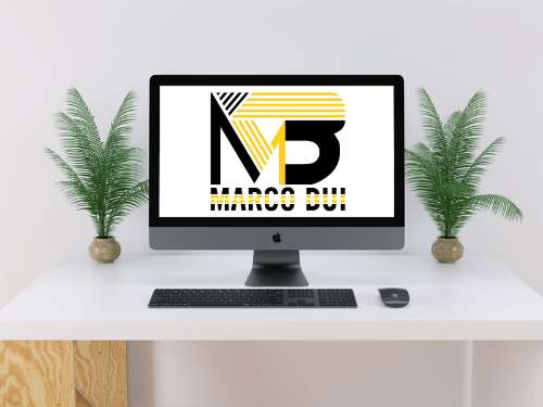 Logo Cá Nhân