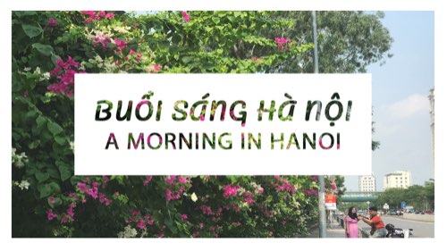 Kịch bản vlog