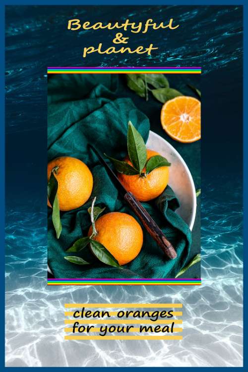sử dụng clipping tool và thiết kế Layout templae