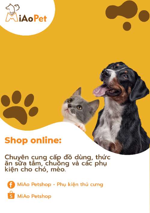 BT cuối môn