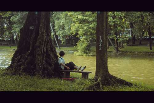 btvn hong dc xin lam :(((