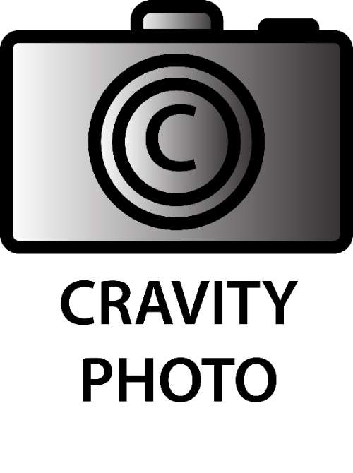 LOGO CÁ NHÂN