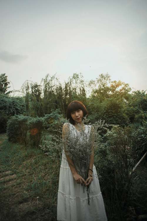 Alice Đi Lạc