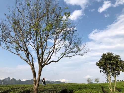 Sản phẩm buổi 1