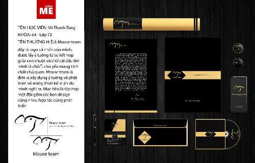BTCK - VÕ THANH TÙNG - AI 64.72