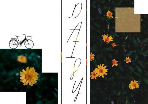 Daisy Layout