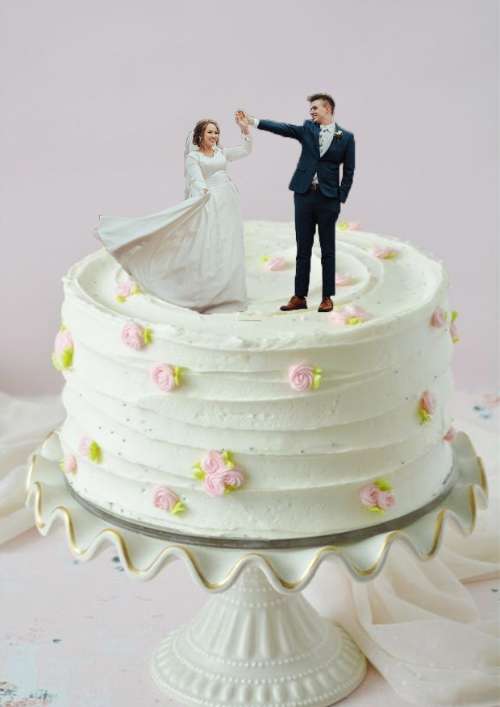 BT Tiny wedding