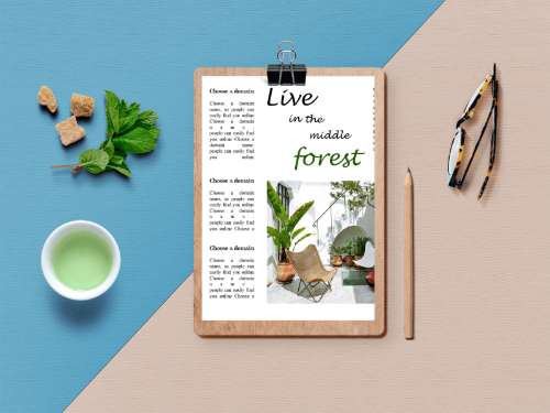 Magazine Layout