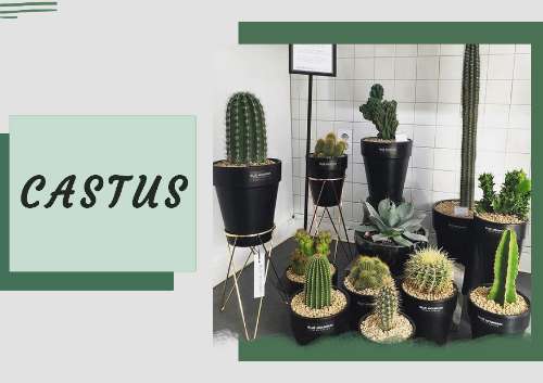 Layout Design