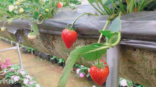 Bài tập cuối khóa