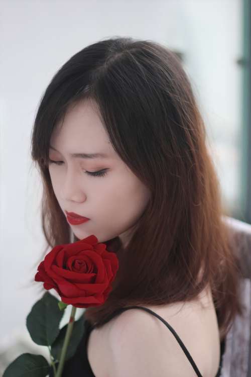 Bài Cuối kì: Ảnh chân dung