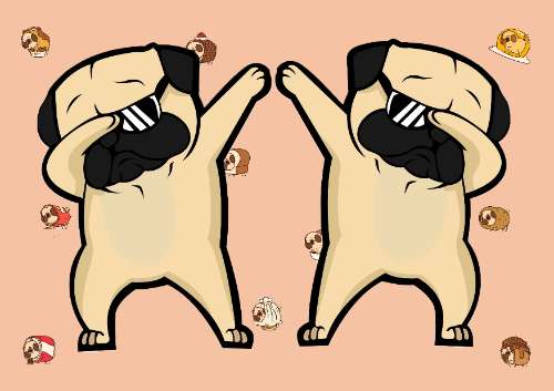 pug