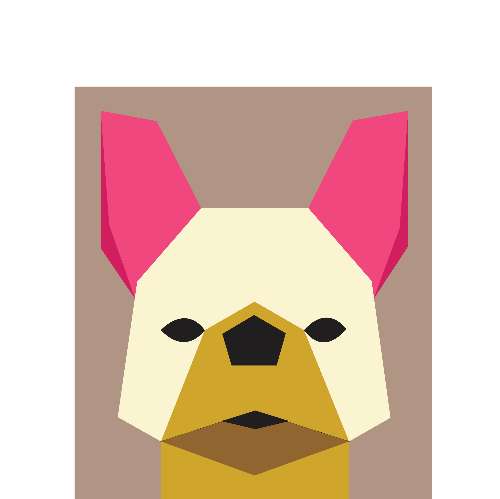 French Bulldog - Nguyễn An Khanh