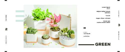 Layout
