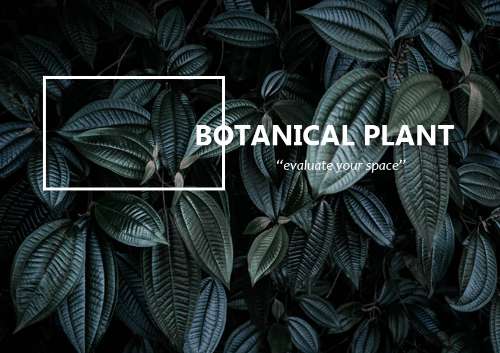 Layout Design