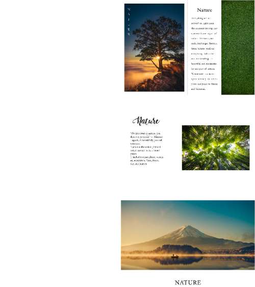 Layout btvn buổi 4 