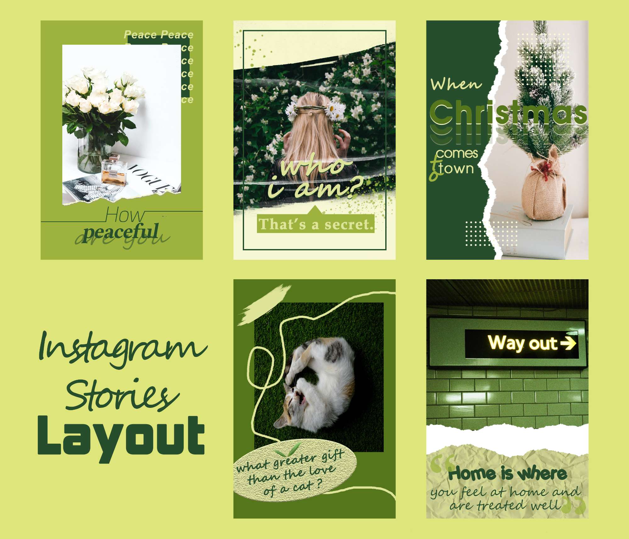 Instagram stories Layout
