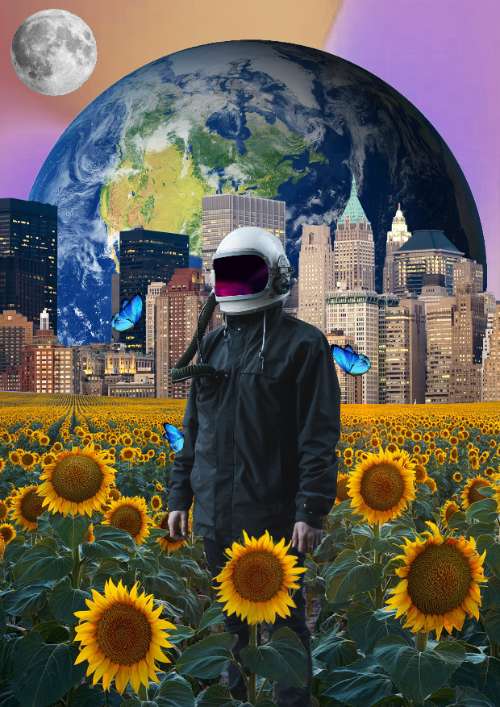 collage  Art 