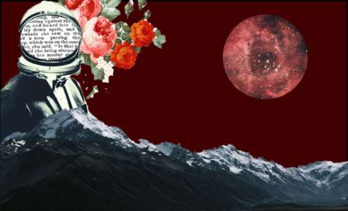 Collage Design Ngoc Linh