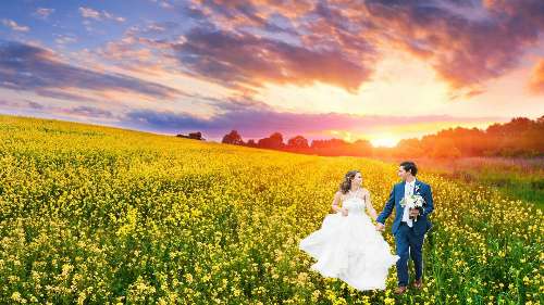Tiny Wedding