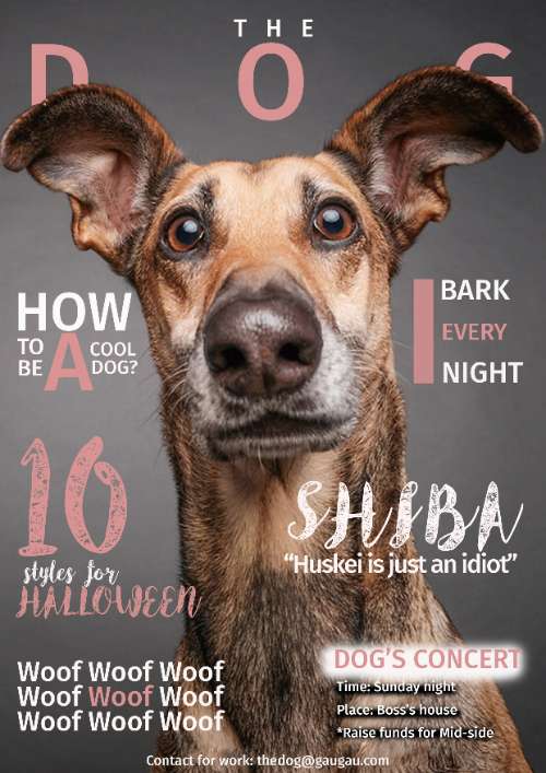 The Dog Magazine