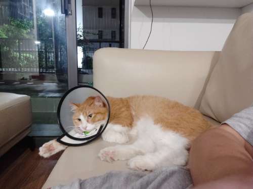 BTVN buổi 2