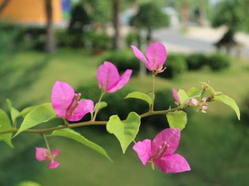 Bài tập về nhà buổi 2 https://drive.google.com/drive/folders/1QADDJmP902yJEsfJsMMX40ryVaoZDjXQ?usp=sharing