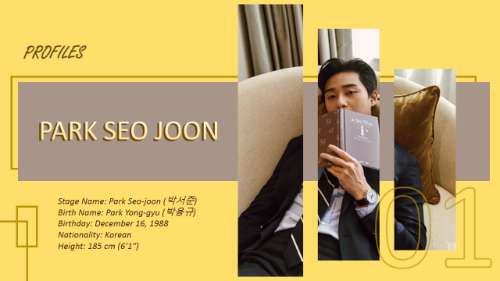 Park Seo Joon ProFile