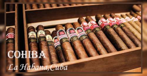 COHIBA