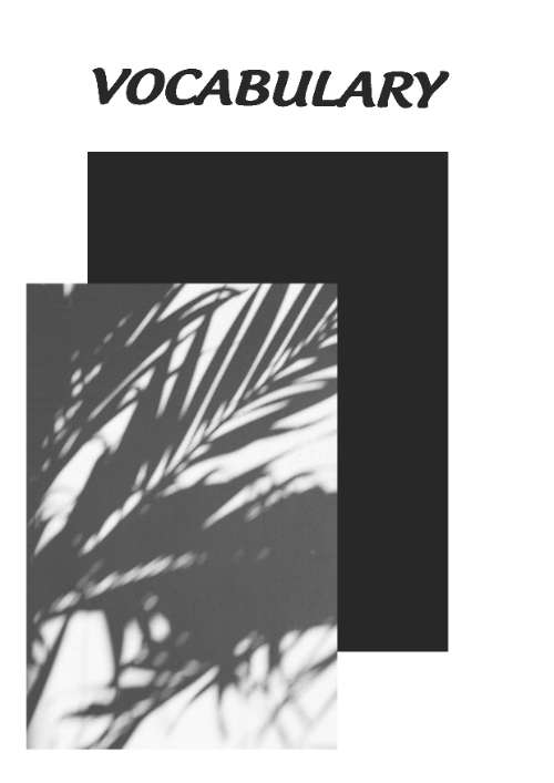 Layout