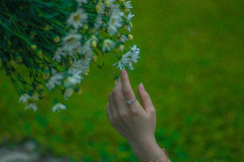Một chiều thu tháng 11