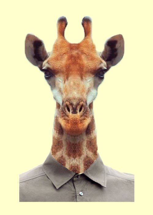 animal say oh yeah